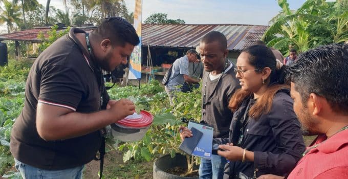 training plagen pesticide