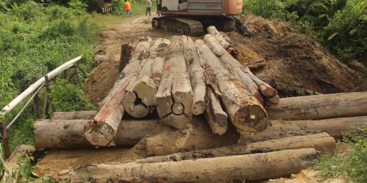brug kabalebo