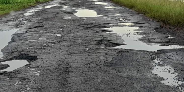 Middenstandspolder in Nickerie oost west verbinding