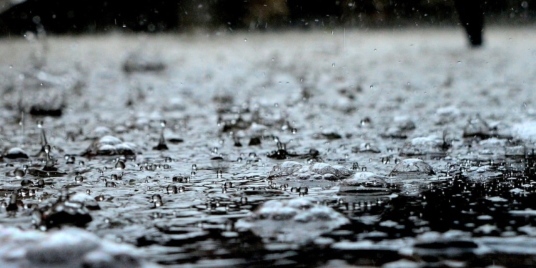 Regen druppels rain water