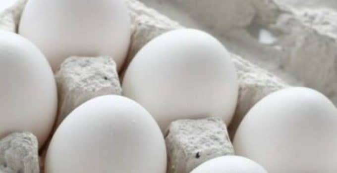 adobestock-witte-eieren