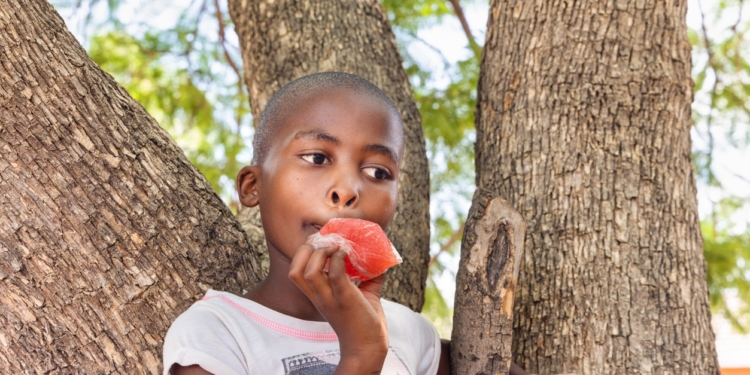 kind meisje jongen eten fruit vrucht