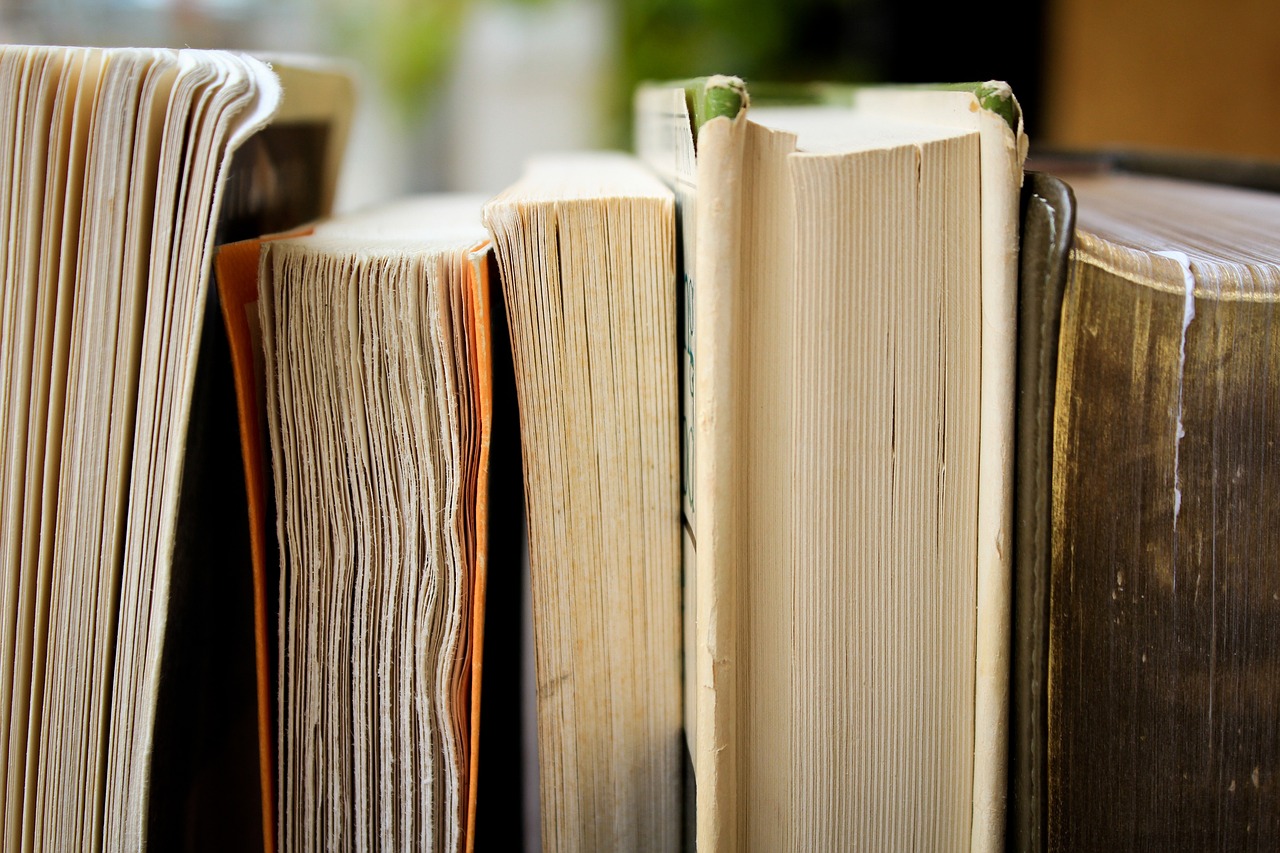 Onderwijs boeken studie studeren