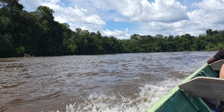binnenland suriname korjaal foto hans tenk