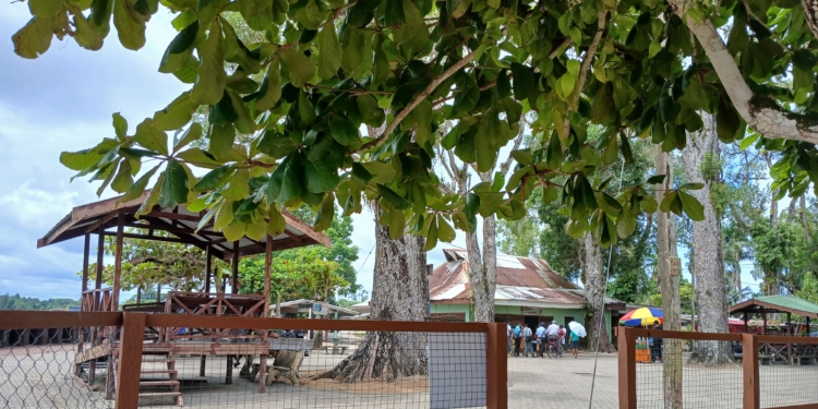 domburg wanica suriname