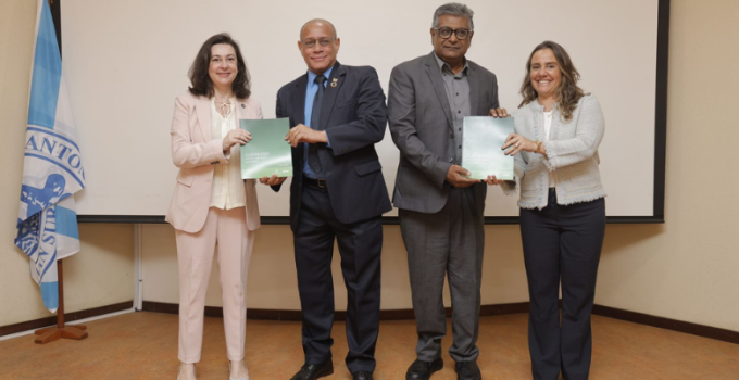 idb rapport