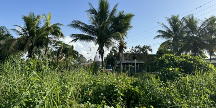 perceel suriname
