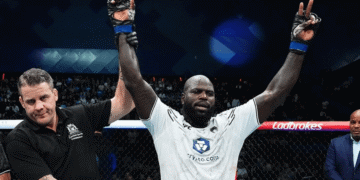 bigi boi rozenstruik