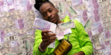 euro geld biljetten rijk