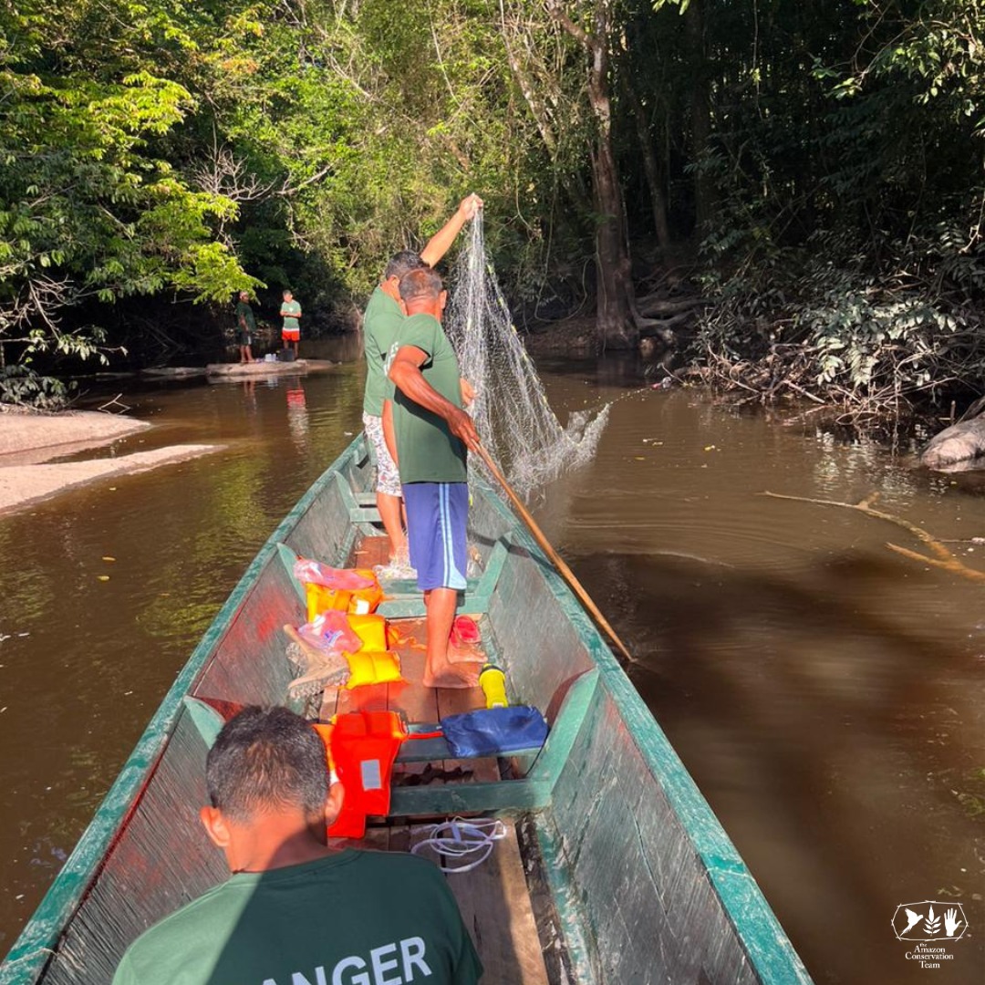 rangers amazone conservation team