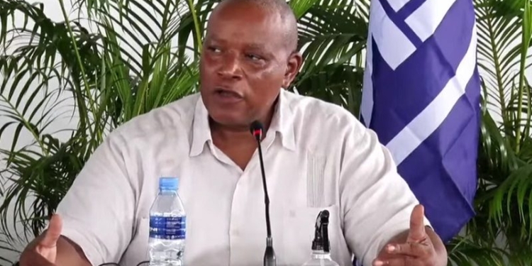 ricardo panka