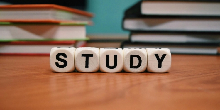Study