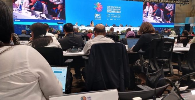 cop 16