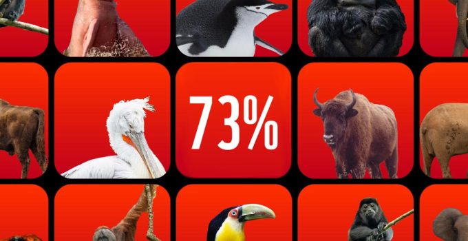 dierenpopulatie