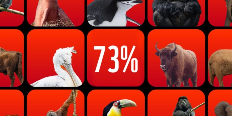 dierenpopulatie