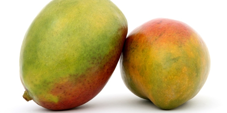 Mango manja vruchten zoet