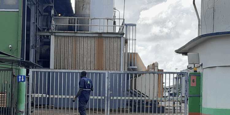 ebs energie bedrijven suriname