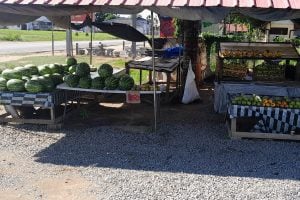 groente fruit markt