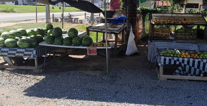 groente fruit markt