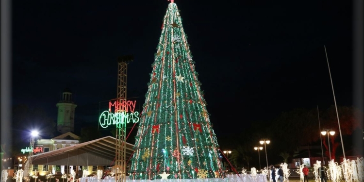 kerstboom