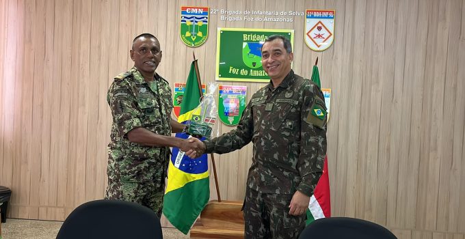 nl leger surinae ne brazilie