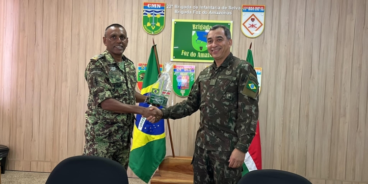 nl leger surinae ne brazilie