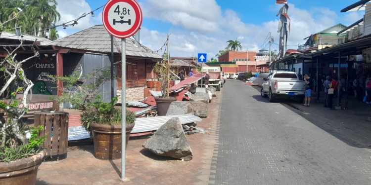 palmentuin waka pasi paramaribo suriname