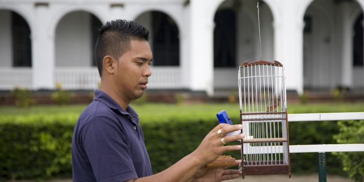 suriname paramaribo man vogel onafhankelijkheidsplein plein
