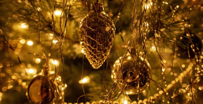 Kerstboom