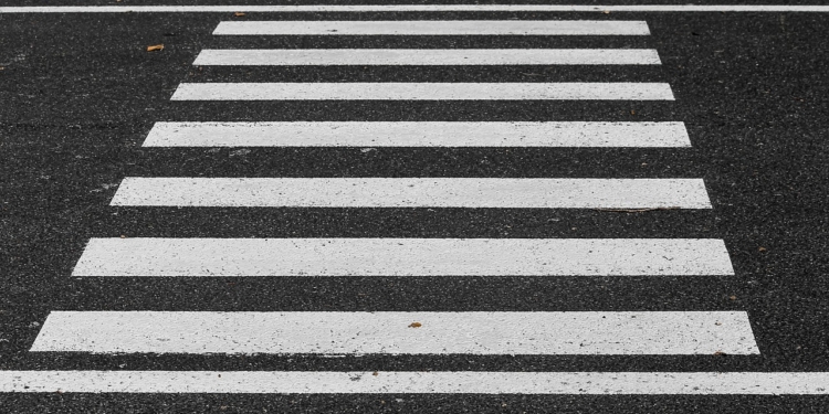 Zebrapad