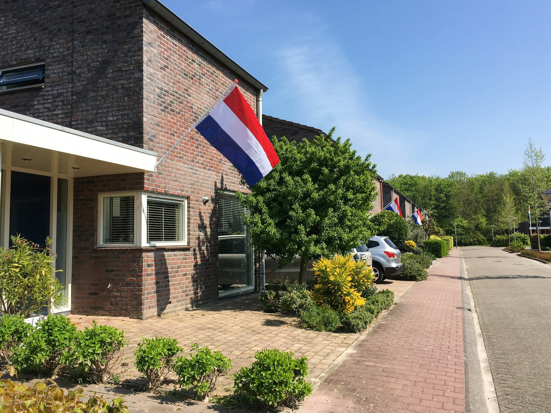 nederland vlag