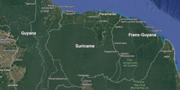 tigri guyana suriname grens