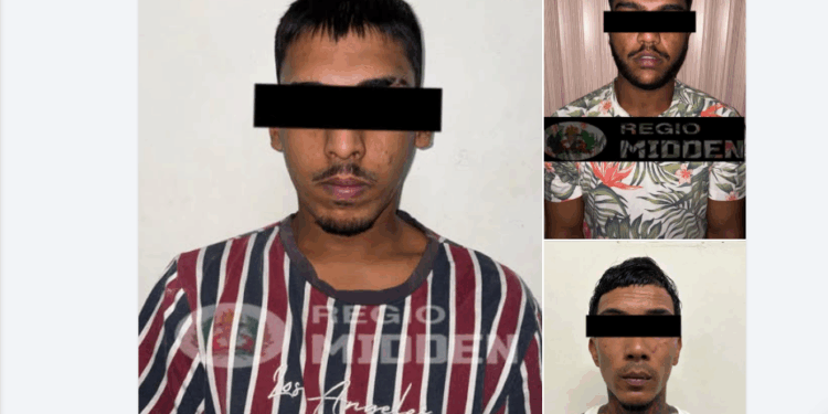 broers aanhouding politie