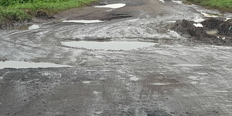 delen oost-west verbinding nickerie