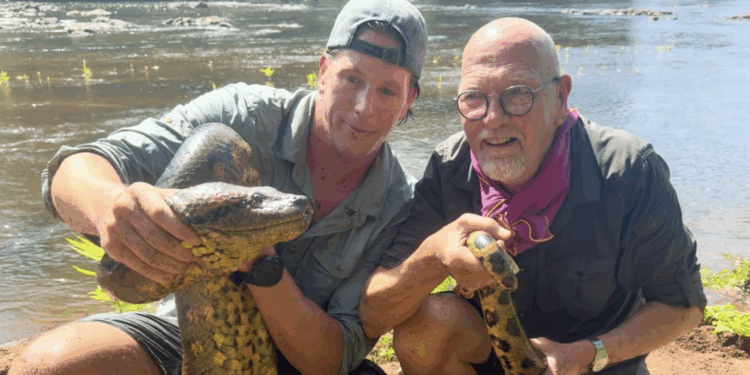 freek vonk suriname anaconda