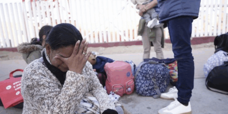 illegaal deportatie migrant asielzoeker grens