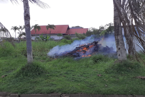 perceel brand verbranden