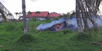 perceel brand verbranden
