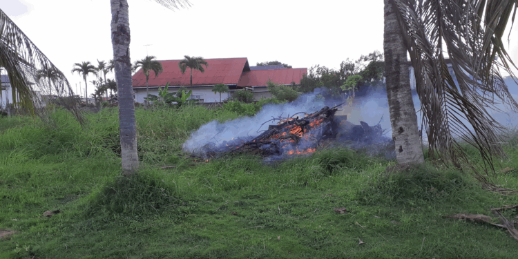 perceel brand verbranden