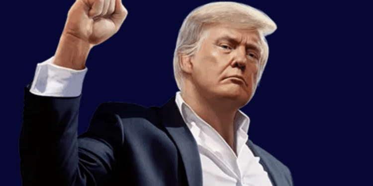 trump meme coin