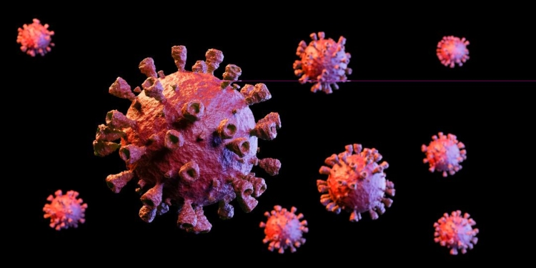 virus