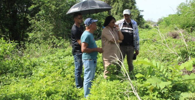 Nieuwe begraafplaats in Nickerie in ontwikkeling