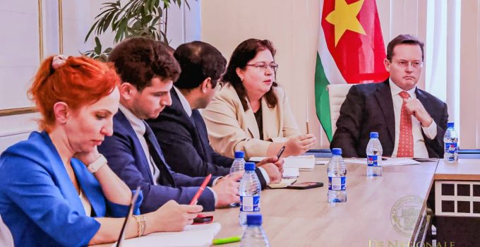 imf delegatie bij dna