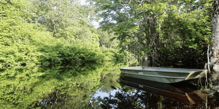 foto credit Raúl F Neijhorst suriname binnenland