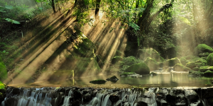 waterval natuur regenwoud suriname