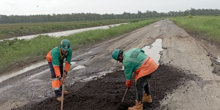 Weg naar Nickerie