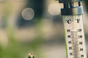 hitte temperatuur warmte