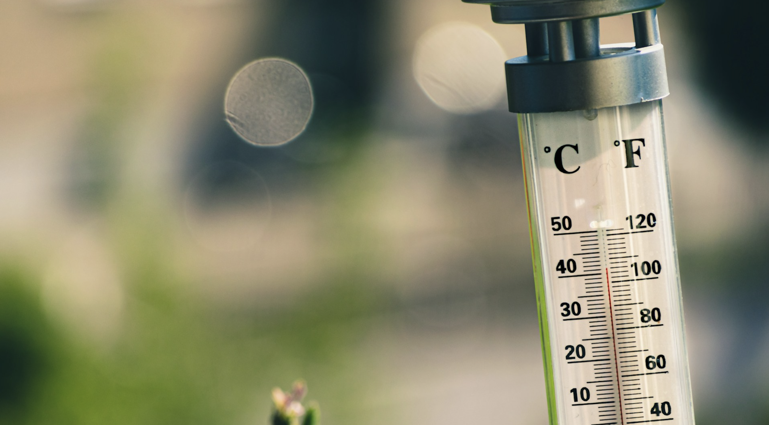 hitte temperatuur warmte