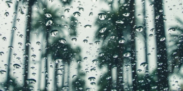 regen