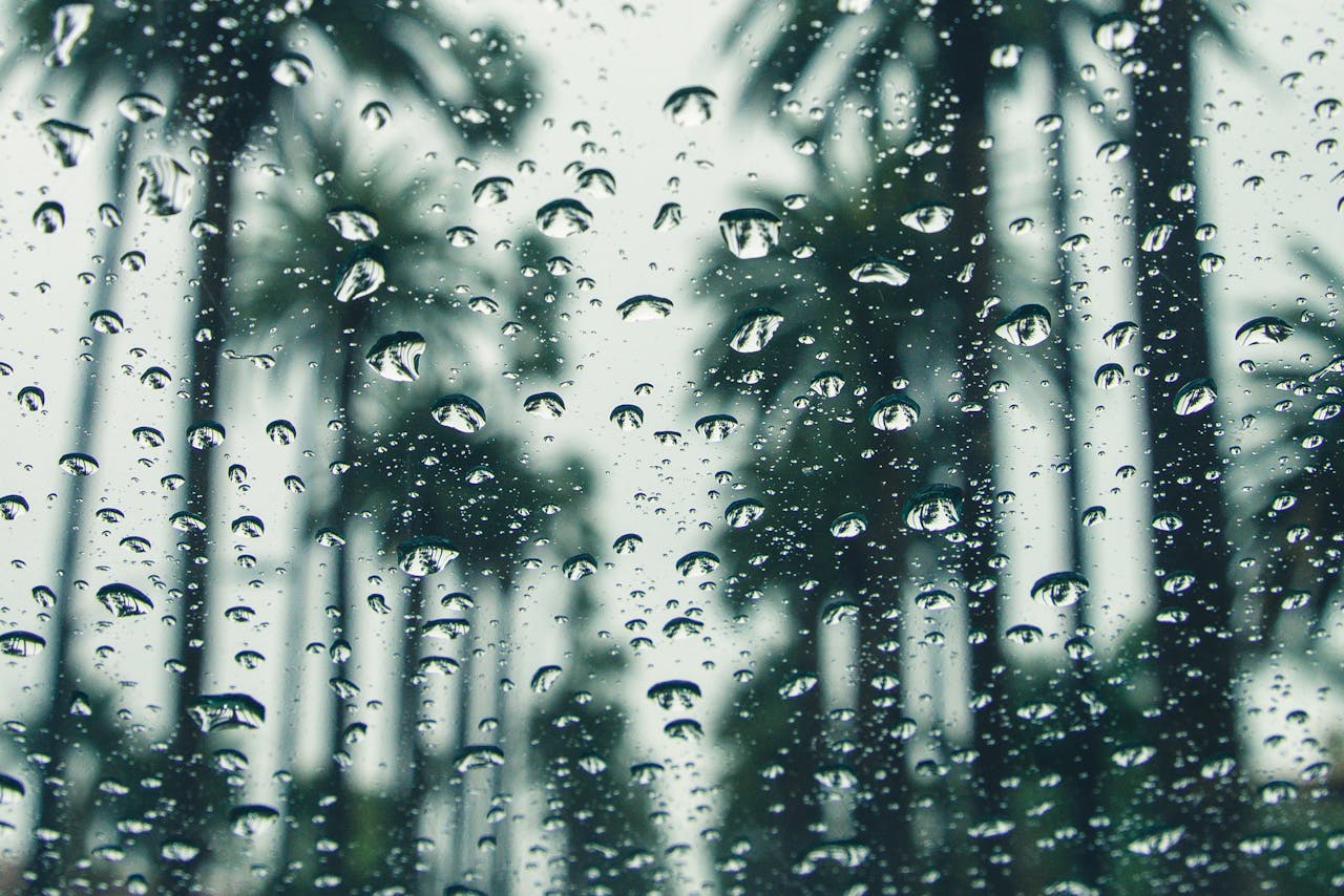regen